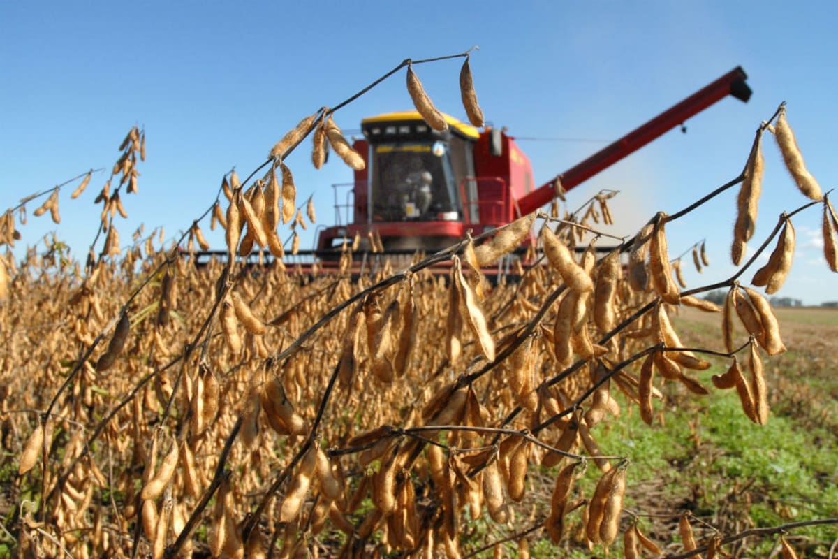 La sequía y el calor en las zonas agrícolas de EE.UU. elevaron el precio de la soja