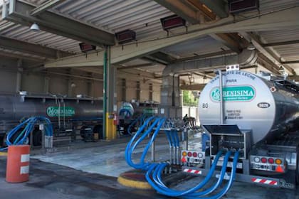 La Serenísima, la marca con mayor penetración en los hogares