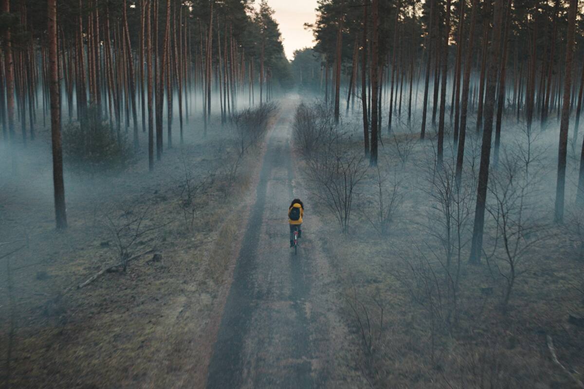 La serie alemana, una de las producciones más elogiadas en esta cuarentena, hace de la ciencia ficción y el thriller filosófico un combo original con personajes de pueblo que funcionan como metáfora del mundo. Referentes locales de una nueva camada de autores de género demenuzan su éxito