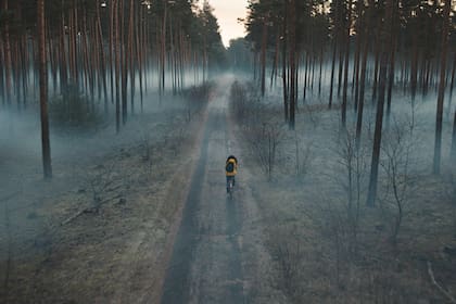 La serie alemana, una de las producciones más elogiadas en esta cuarentena, hace de la ciencia ficción y el thriller filosófico un combo original con personajes de pueblo que funcionan como metáfora del mundo. Referentes locales de una nueva camada de autores de género demenuzan su éxito