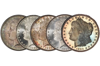 La serie conocida como Morgan Dollar ha destacado en el mercado de coleccionistas como una de las favoritas y de las más cotizadas