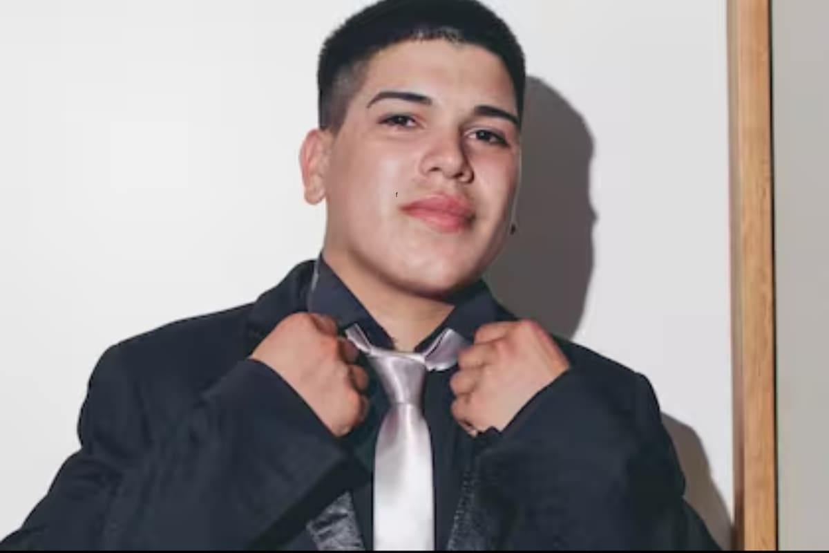 La serie de ítems que publicó Thiago Medina en busca de una niñera