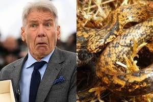La serpiente recibió el nombre del actor (Foto: AFP-Archivo)