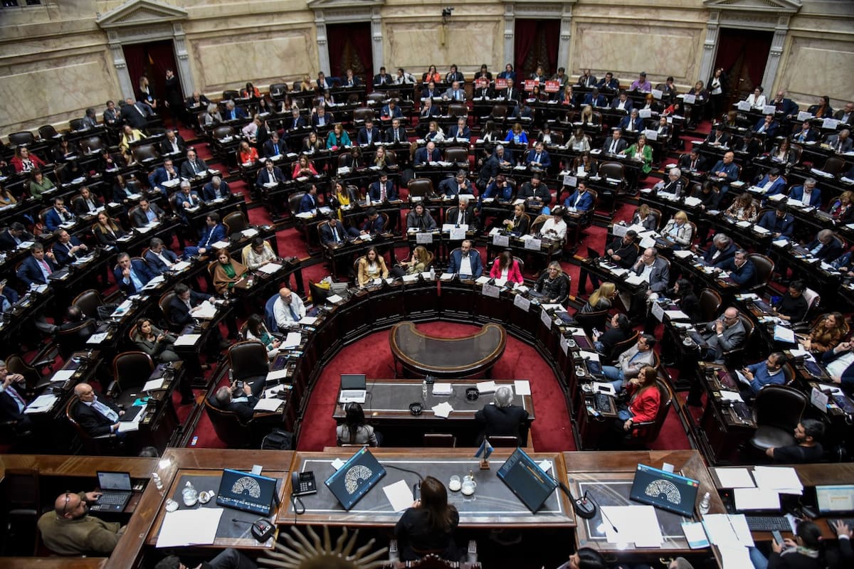 La sesión de la Cámara de Diputados en la que se aprobó el "consenso fiscal"