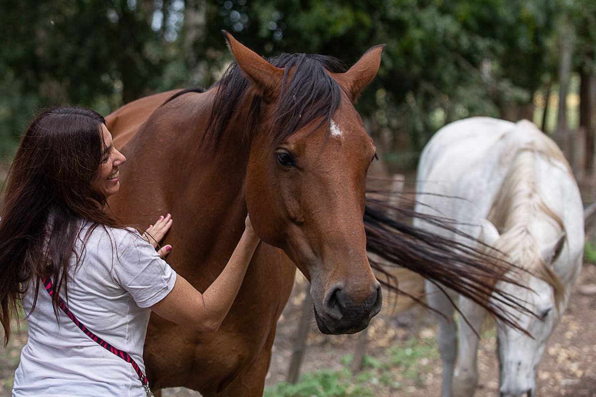 Constelar con caballos, La Carlota del Monte.