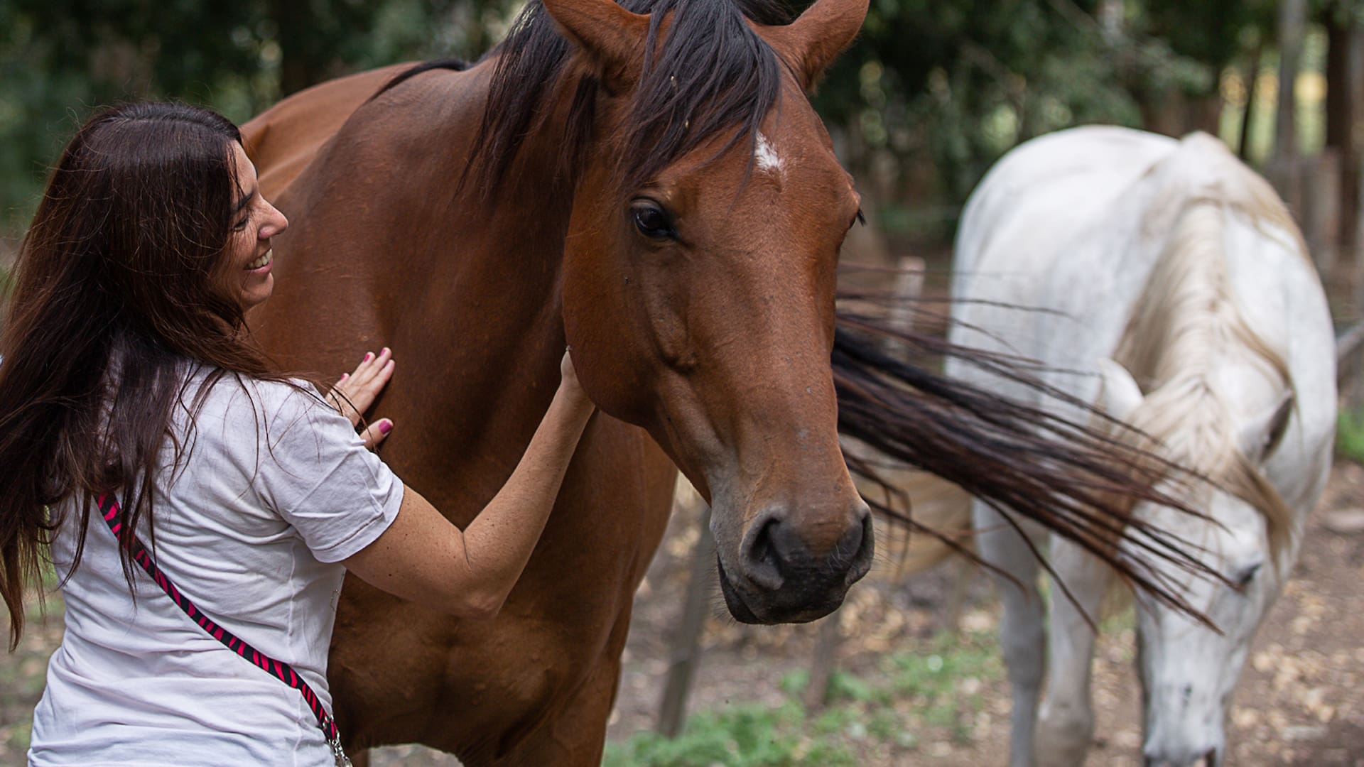 Constelar con caballos, La Carlota del Monte.
