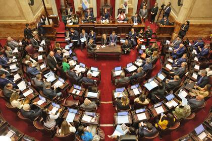 La sesión del Senado, el jueves, cuando votaron un fuerte aumento en las dietas de los legisladores