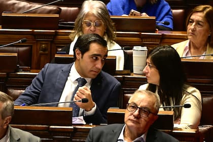 La sesión en Diputados se extendió 14 horas