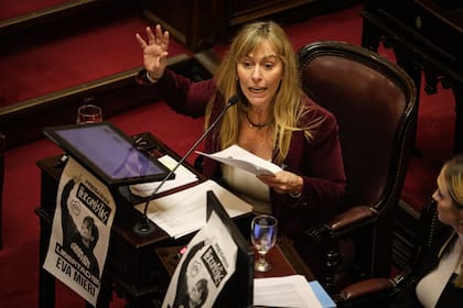 La sesión en el Senado por las leyes de jubilación y discapacidad.