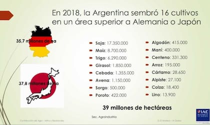 La siembra de los 16 cultivos en la Argentrina