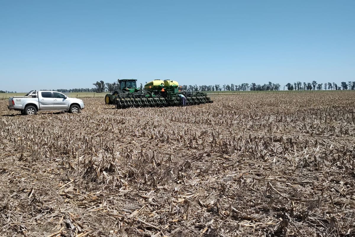 La siembra de soja, en un contexto difícil por la falta de lluvias abundantes
