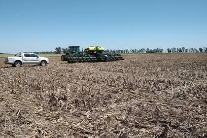 La siembra de soja, en un contexto difícil por la falta de lluvias abundantes