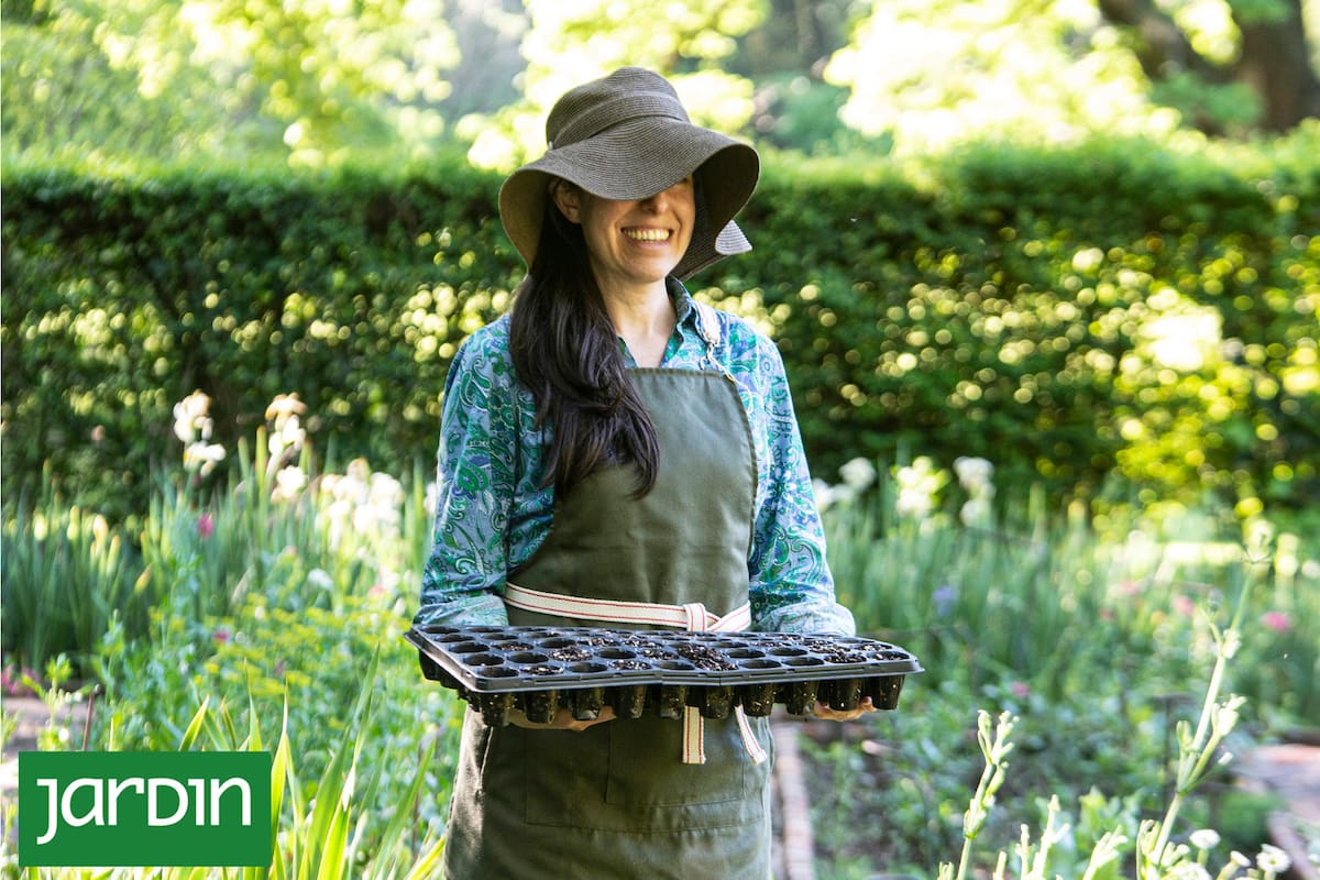 La siembra desde semilla: el recurso más económico y versátil para multiplicar tu jardín