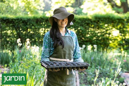 La siembra desde semilla: el recurso más económico y versátil para multiplicar tu jardín