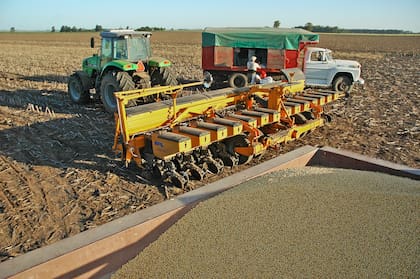 La hectárea en la zona núcleo vale US$16.000 tras haber caído a 12.500 dólares