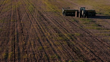 Los legisladores tomaron ideas del Consejo Agroindustrial Argentino (CAA)