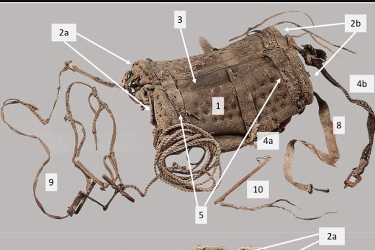 La silla de montar, preservada hasta 2.700 años en el árido desierto.