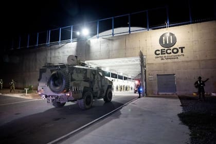 La simple sospecha de ser un miembro del Tren de Aragua basta para ser expulsado de EE.UU., advierten expertos