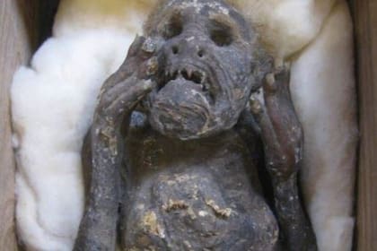 La "sirena" momificada de 300 años con espeluznante rostro humano que desconcierta a la ciencia (Crédito: New York Post)