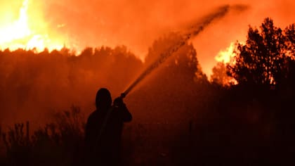 La situación en la Patagonia continúa siendo crítica a más de un mes de iniciados los primeros focos de incendios