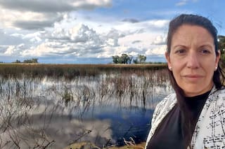 Calculan que Buenos Aires tiene 5 millones de hectáreas comprometidas por el agua y hay desesperación en el campo