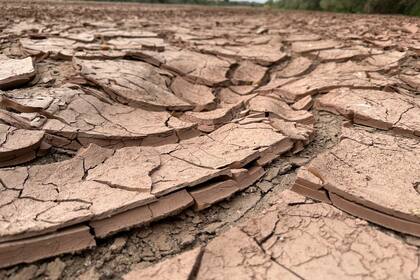 La sobreexplotación del río Bravo amenaza la seguridad hídrica en EE. UU. y México