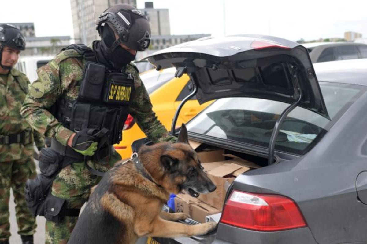 La sociedad colombiana se encuentra en estado de alerta. No es claro si es por un trauma heredado de la guerra en los 90 o porque la guerra de alguna manera continúa