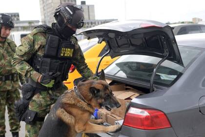 La sociedad colombiana se encuentra en estado de alerta. No es claro si es por un trauma heredado de la guerra en los 90 o porque la guerra de alguna manera continúa