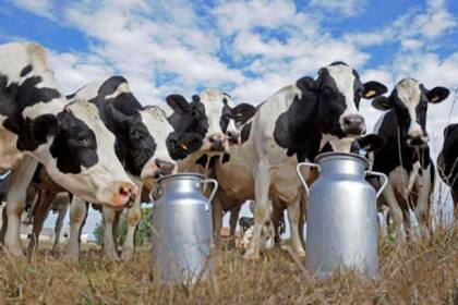 Entre agosto y septiembre perdió ímpetu la mejora de los precios de la leche recibidos por el tambero