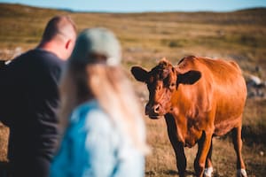 La Sociedad Rural Argentina (SRA) indicó que esta situación se da en un marco de sequía generalizada y profunda