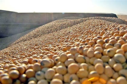 El Gobierno inventó para los exportadores de soja un dólar especial a $200