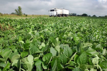 “Debemos estar preparados con estrategias de manejo defensivas que busquen la estabilidad, aseguren pisos de rendimiento y diversifiquen el momento de los períodos críticos”, aconsejó Juan Ignacio Ortolani (Regional Aapresid Adelia María) en relación al factor climático