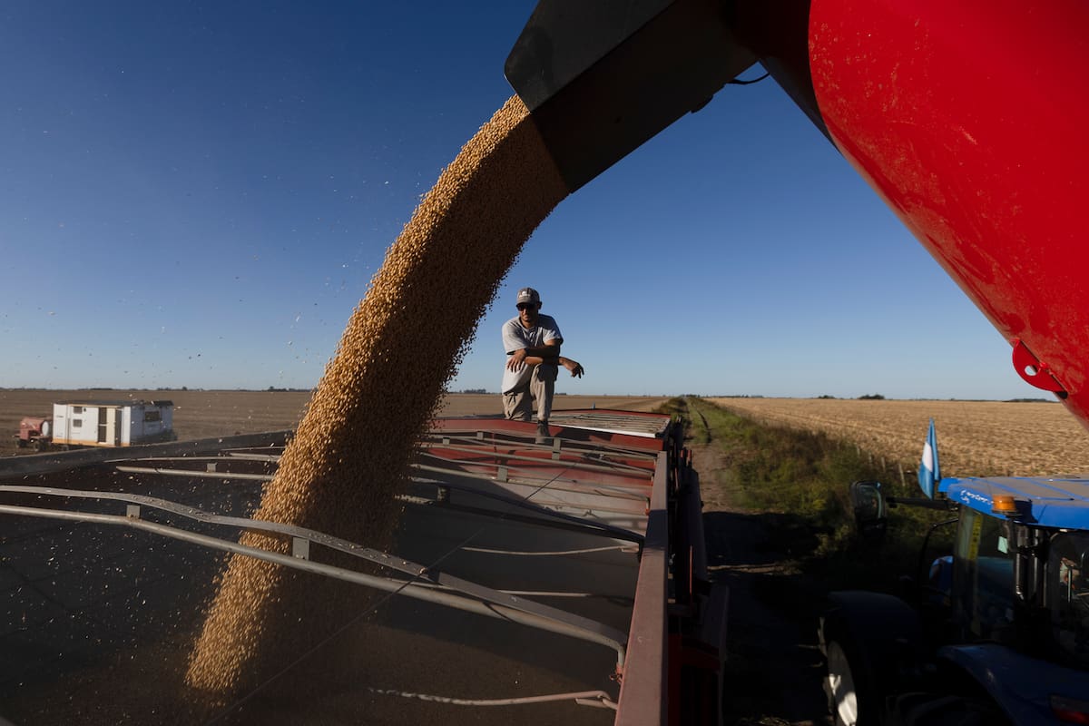 La soja sin vender de la Argentina se valorizó en hasta US$375 millones