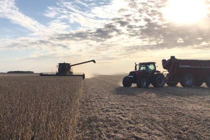 La soja tiene 33% de retenciones