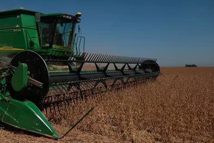 La soja tuvo una rueda bajista