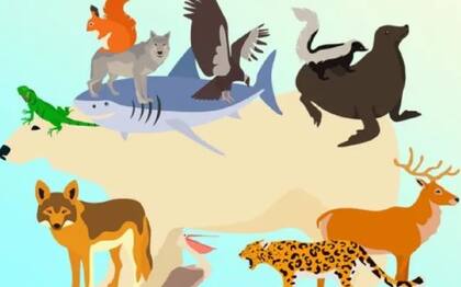 La solución al desafío de los animales. Fuente: Genial Guru