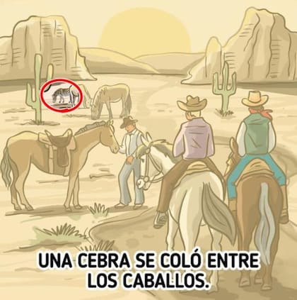 La solución al desafío. Fuente: Genial Guru