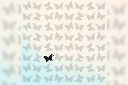 La solución al reto visual de la mariposa