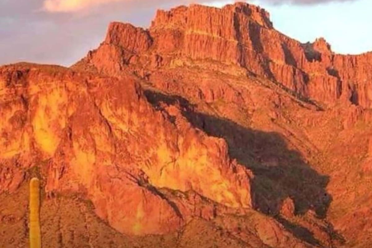 La "sombra del puma", un espectáculo natural único en Arizona, EE.UU.