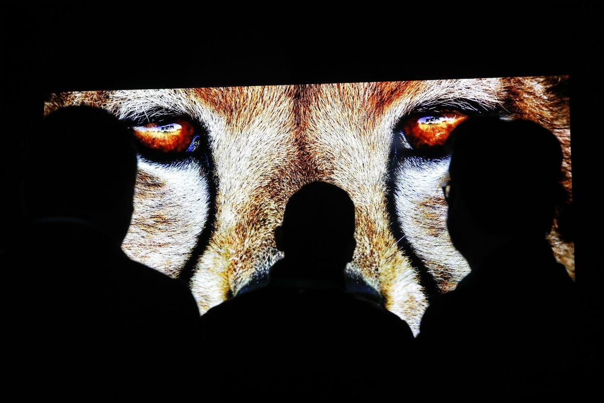 La startup Clearview AI, con sede en Nueva York, ha llamado la atención después de los informes de investigación sobre su práctica de recolectar miles de millones de fotos de las redes sociales y otros servicios para identificar a las personas.