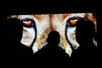 La startup Clearview AI, con sede en Nueva York, ha llamado la atención después de los informes de investigación sobre su práctica de recolectar miles de millones de fotos de las redes sociales y otros servicios para identificar a las personas.