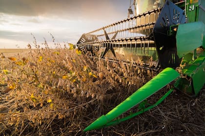 La suba de las retenciones impulsó la mayor participación del Estado en la renta agrícola