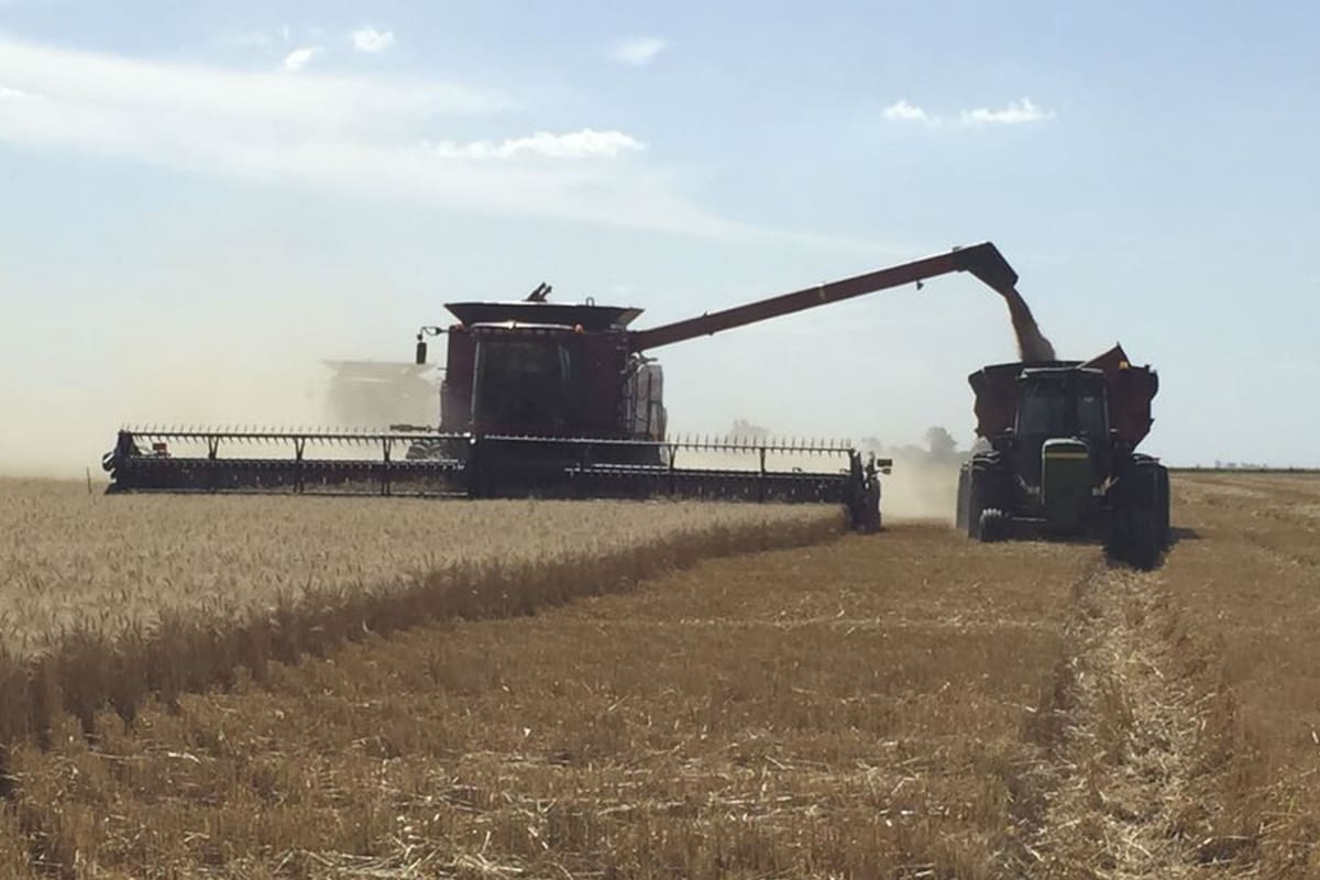 La suba de una tasa vinculada con caminos generó malestar entre los productores de Luján