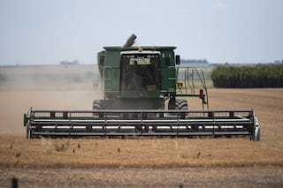 Análisis: lo que vino con el impuesto a la riqueza