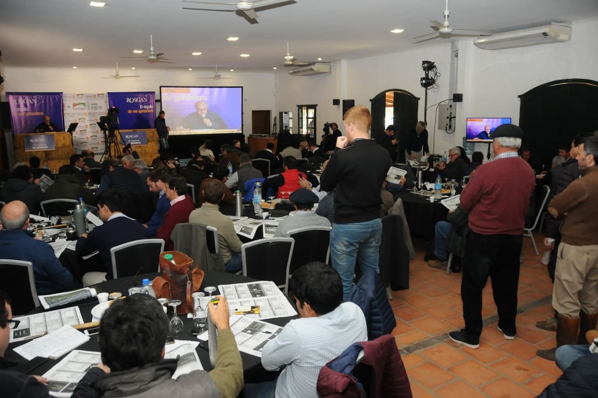 La subasta de Rosgan en Expoagro en la Rural de Corrientes