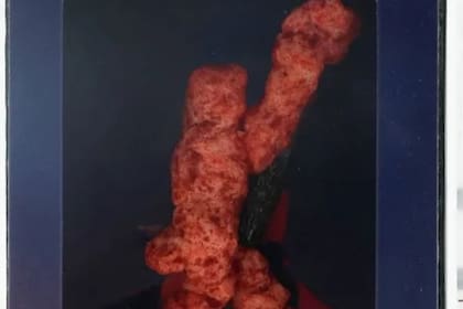 La subasta del Cheeto con forma de “Jumpman” se lleva a cabo a través de Goldin Auctions (The Sun)
