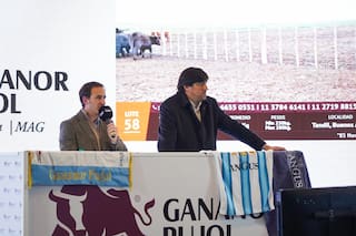 Tendrá más de 12.000 cabezas la subasta de Galicia y Gananor Pujol