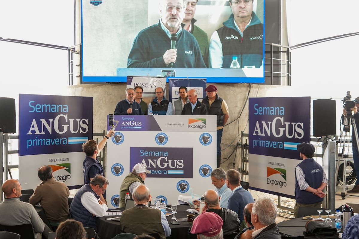 La subasta que realizó Rosgan en el marco de la Semana Angus