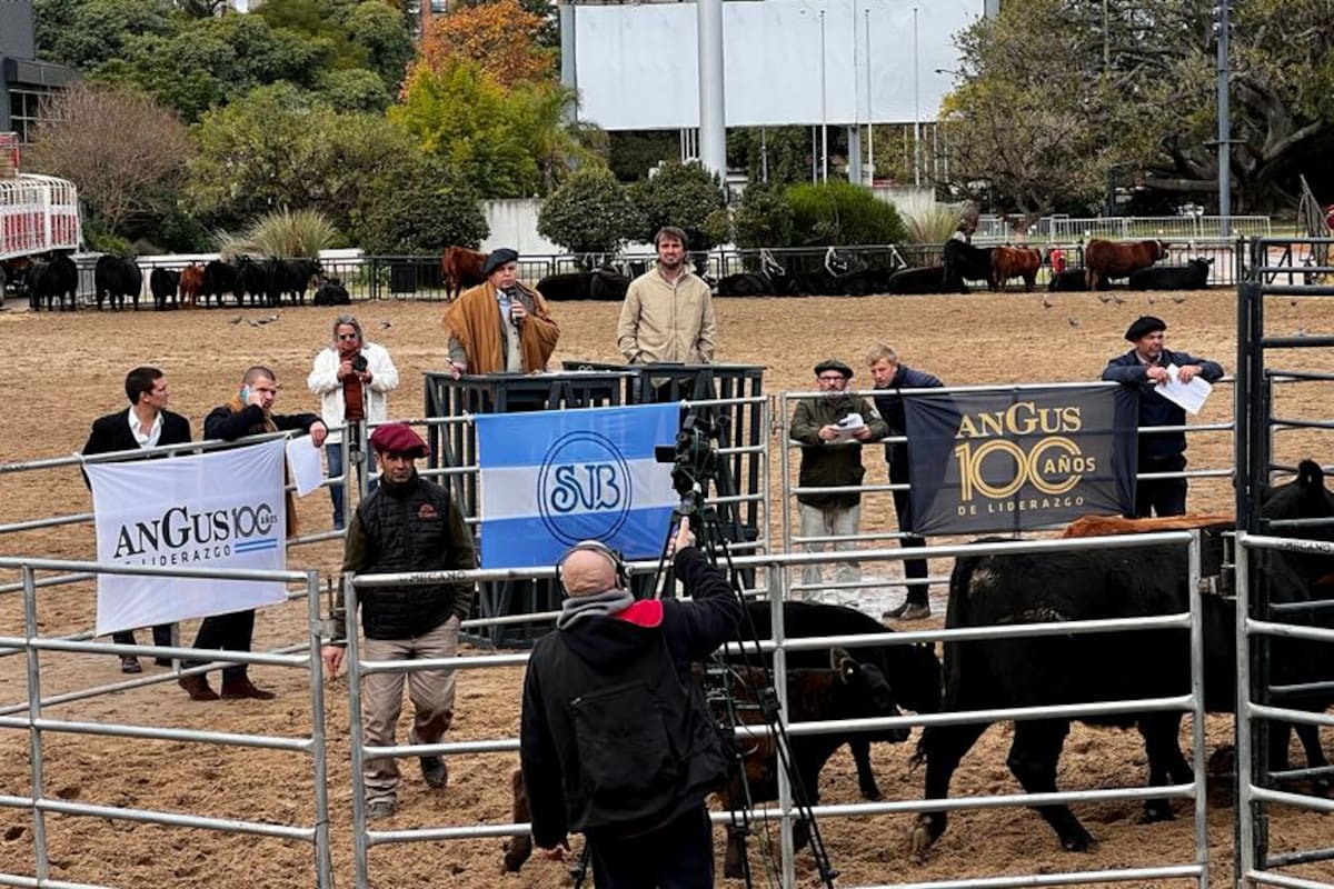 La subasta tuvo destacados precios