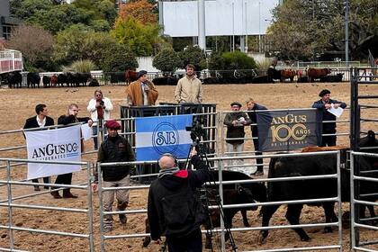 La subasta tuvo destacados precios